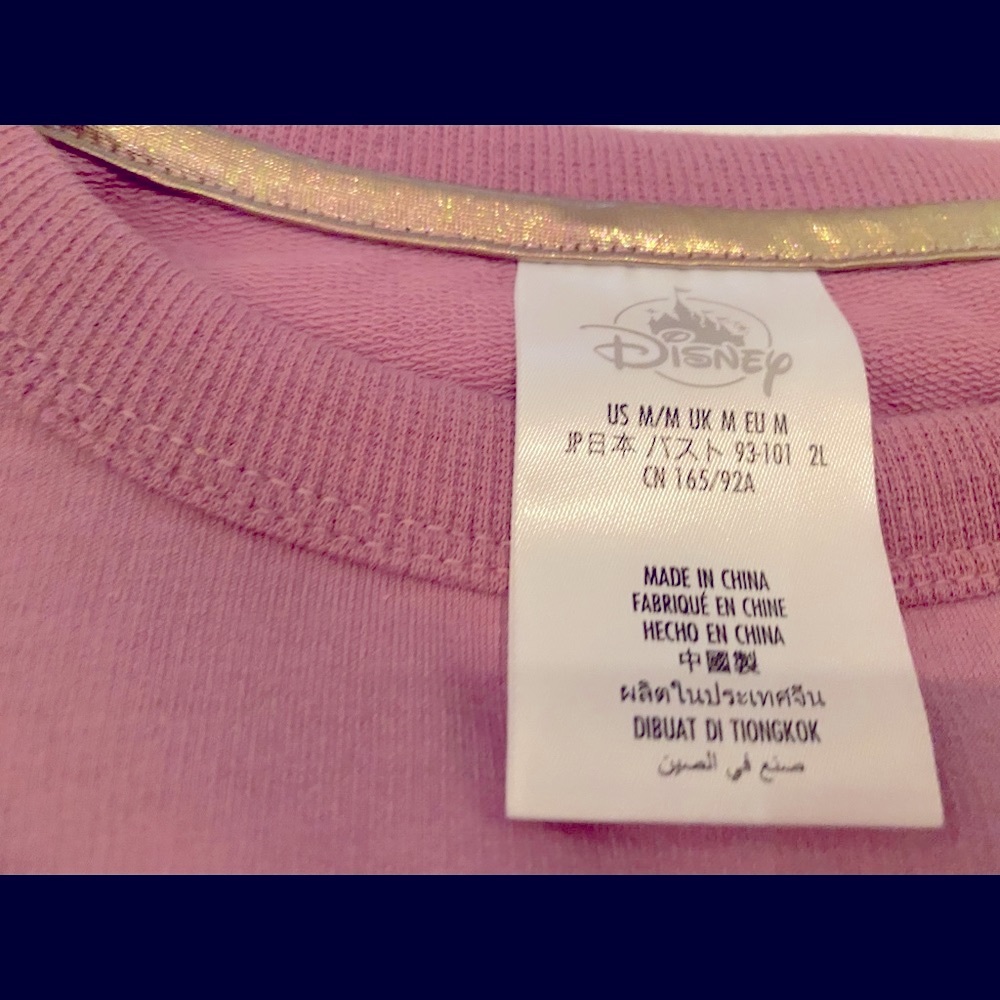 Iridescent Disneyland Sweatshirt - Picture 6 of 6
